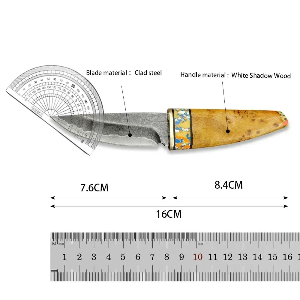 EdgeBloom – Composite Steel Fixed Blade Paring & Meat Knife