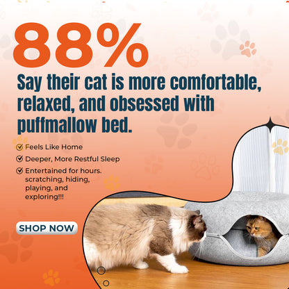Puffmallow - Cat Donut Bed & Tunnel
