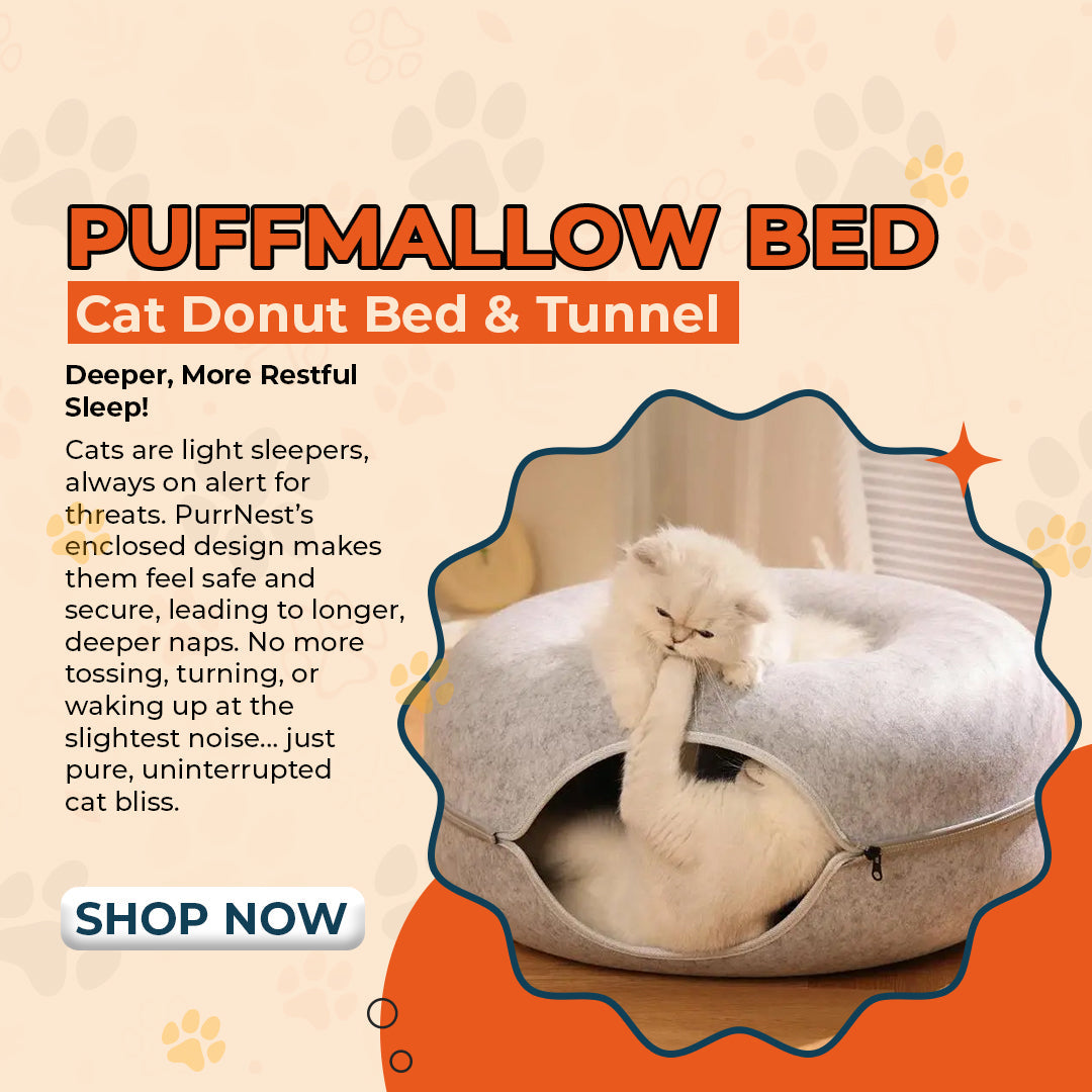 Puffmallow - Cat Donut Bed & Tunnel