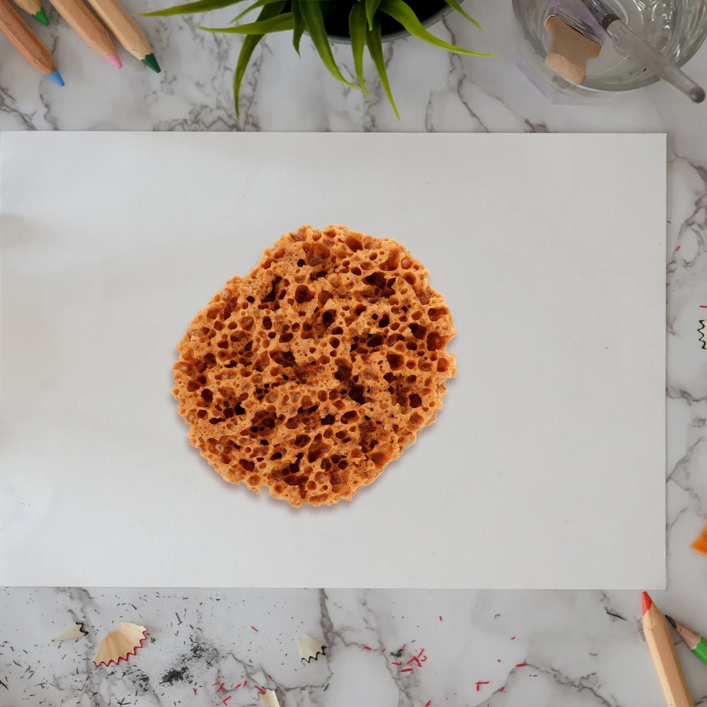 AquaTex – Reusable Sea Sponge for Painting