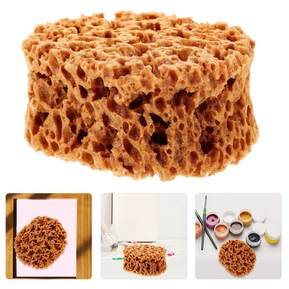 AquaTex – Reusable Sea Sponge for Painting
