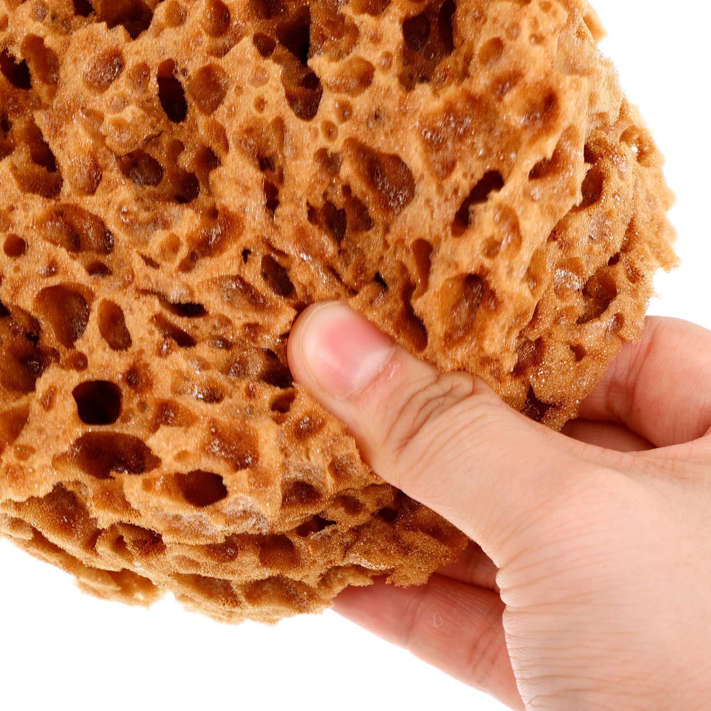 AquaTex – Reusable Sea Sponge for Painting