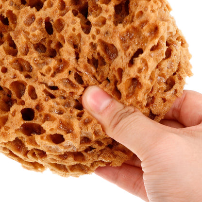 AquaTex – Reusable Sea Sponge for Painting