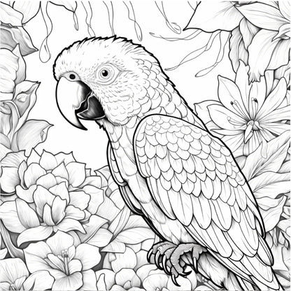 BloomNest – 20-Page Adult Flower & Bird Coloring Book