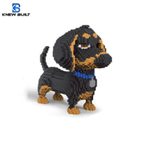 Dachshund