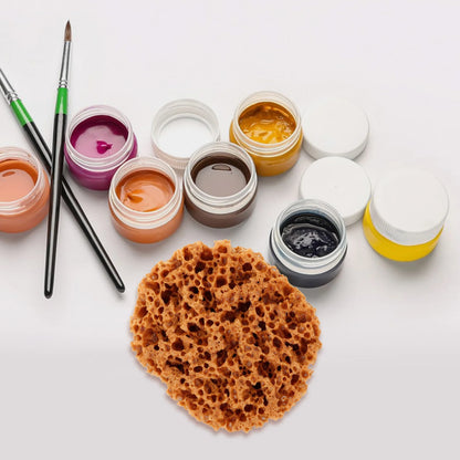 AquaTex – Reusable Sea Sponge for Painting