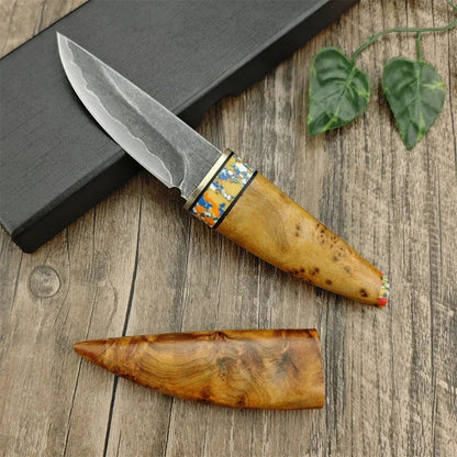 EdgeBloom – Composite Steel Fixed Blade Paring & Meat Knife