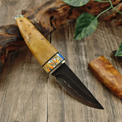EdgeBloom – Composite Steel Fixed Blade Paring & Meat Knife